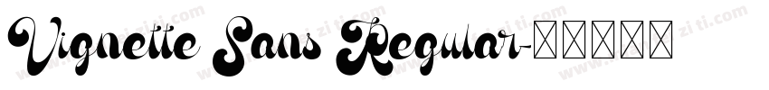 Vignette Sans Regular字体转换